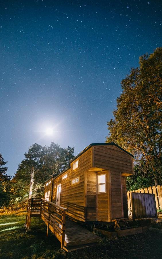Umpqua'S Last Resort - Wilderness Cabins, Rv Park & Glamping Idleyld Park 外观 照片