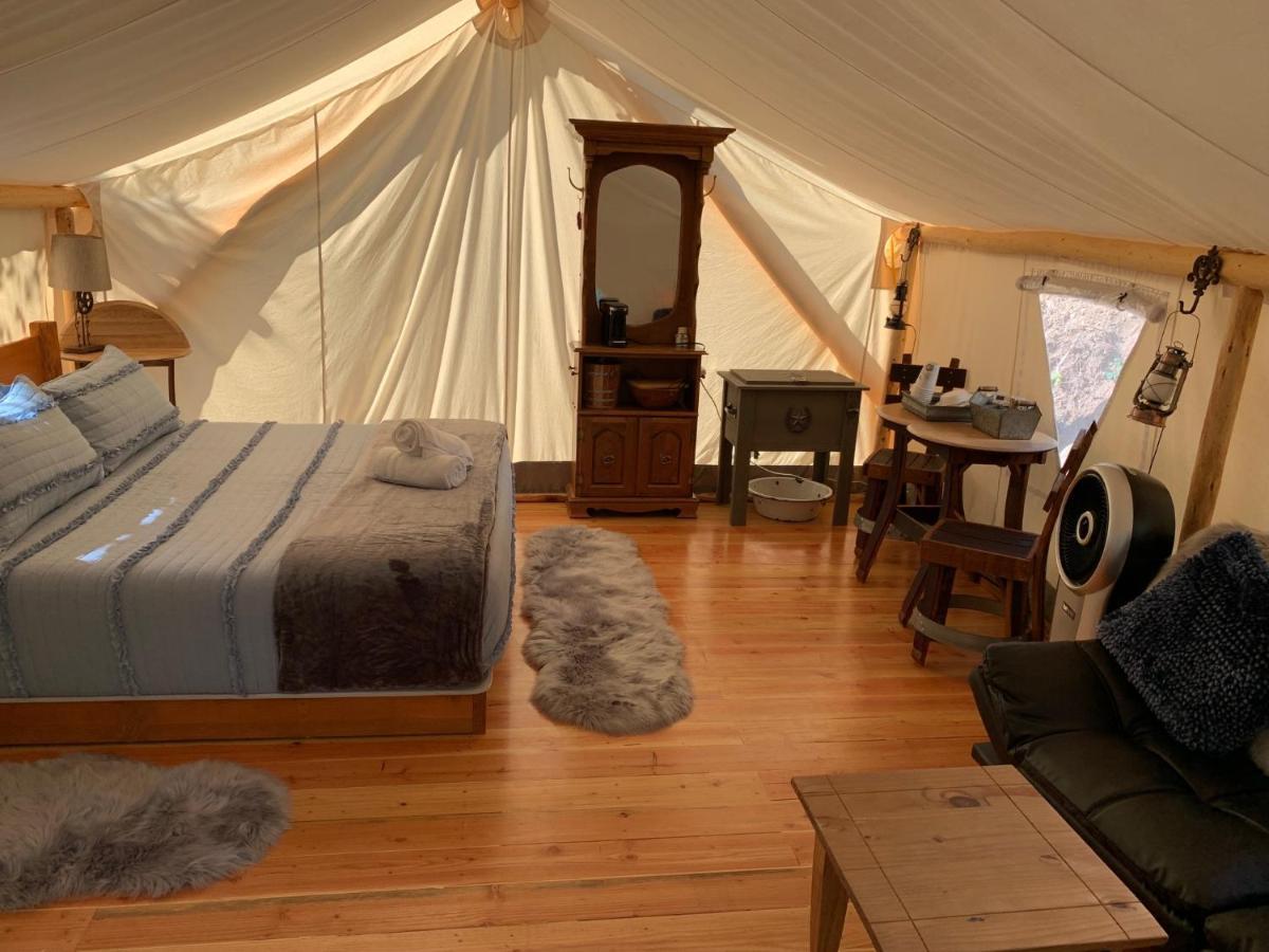 Umpqua'S Last Resort - Wilderness Cabins, Rv Park & Glamping Idleyld Park 外观 照片
