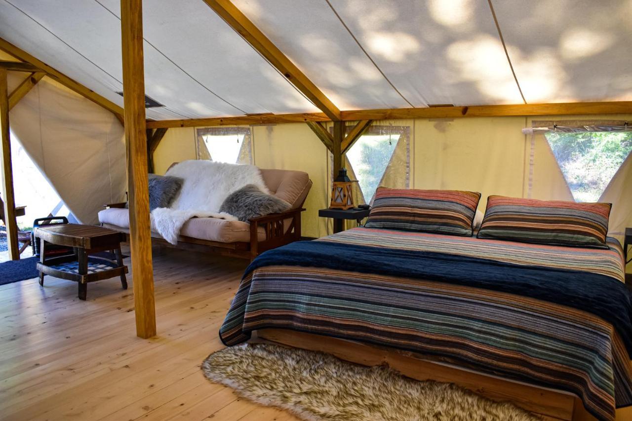 Umpqua'S Last Resort - Wilderness Cabins, Rv Park & Glamping Idleyld Park 外观 照片