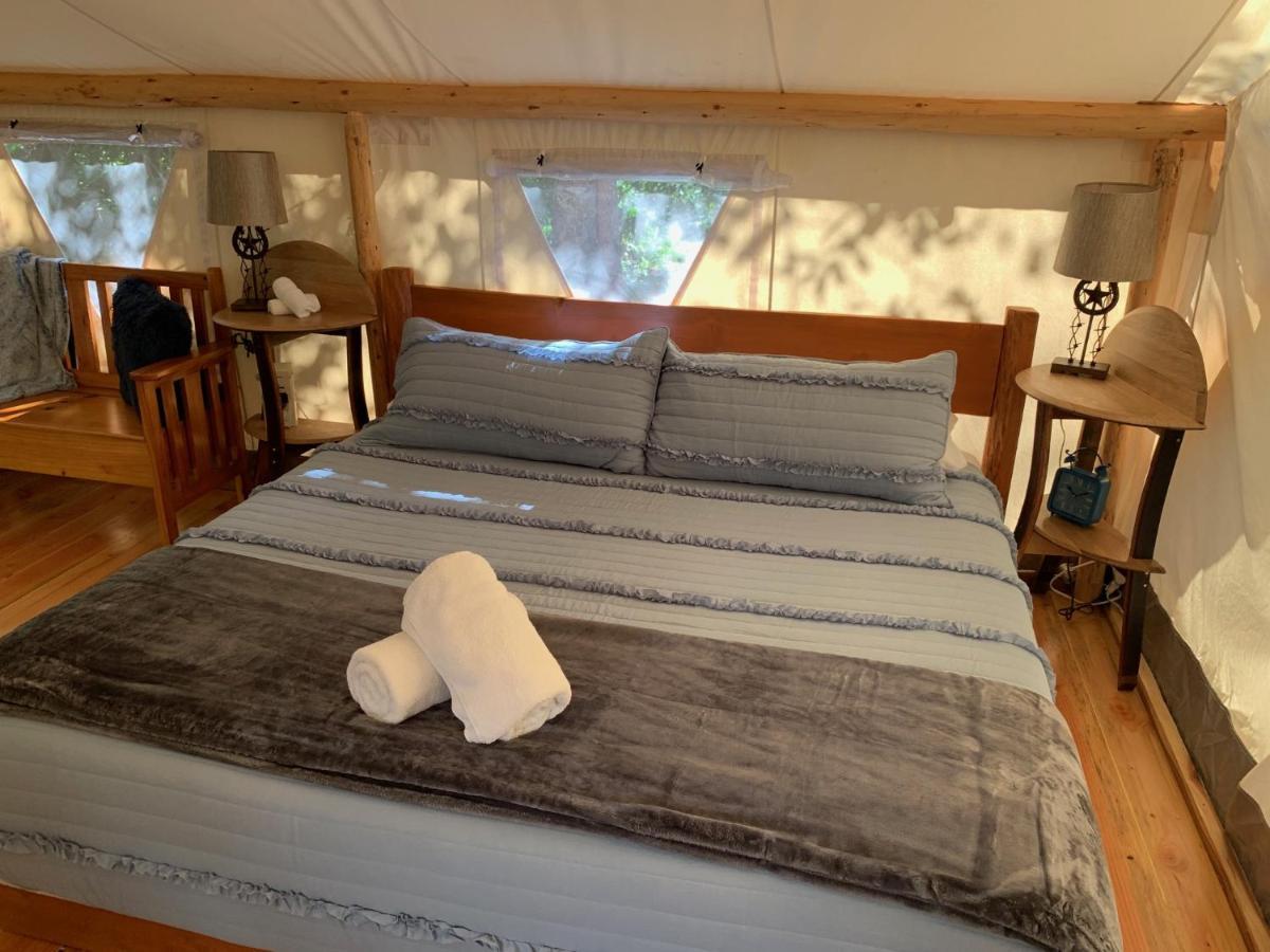 Umpqua'S Last Resort - Wilderness Cabins, Rv Park & Glamping Idleyld Park 外观 照片
