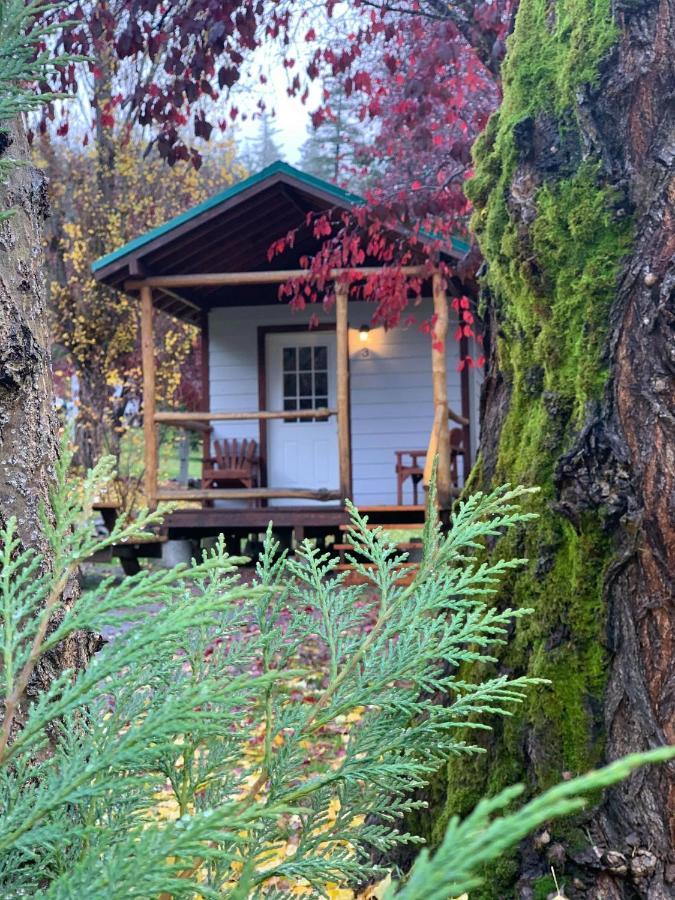 Umpqua'S Last Resort - Wilderness Cabins, Rv Park & Glamping Idleyld Park 外观 照片